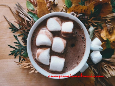 Chocolat chaud aux chamallows
