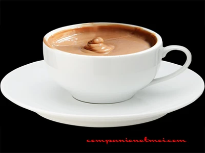 Crème anglaise au chocolat