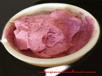 Crème glacée vegan aux fruits rouges