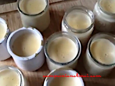 Crèmes vanille végétariennes