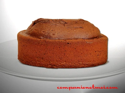 Gâteau au chocolat et yaourt grec