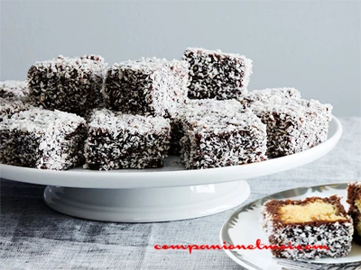 Lamingtons chocolat et noix de coco