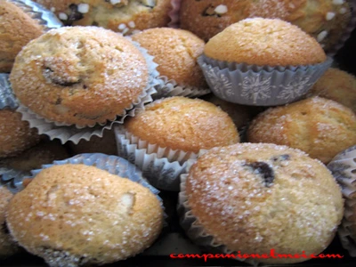 Madeleines aux pépites de chocolat