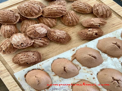 Madeleines tout chocolat