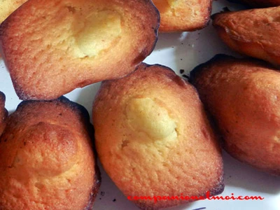 Madeleines