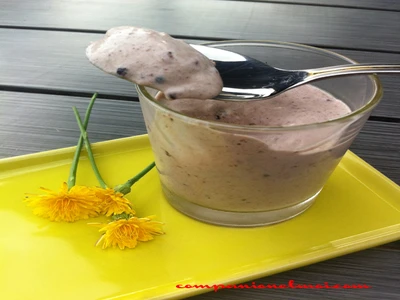Mousse de mûres