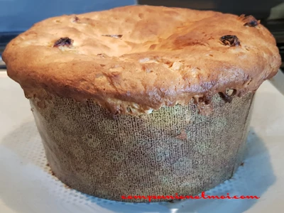 Panettone