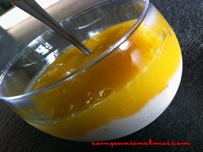 Panna cotta à la mangue