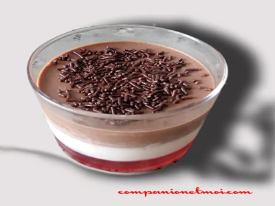 Panna cotta aux trois couleurs