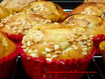 Petites brioches au sucre