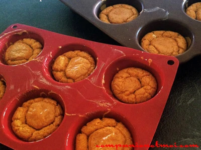 Bases pour cupcakes salés