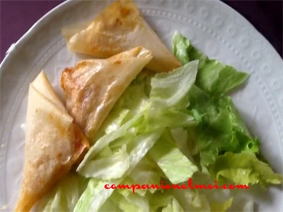 Bricks au poulet épicé