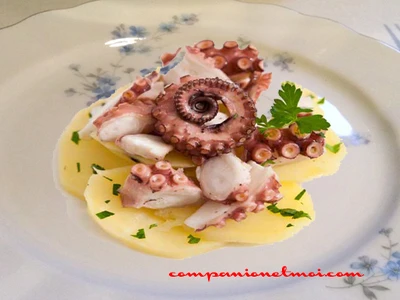 Poulpe au vin blanc