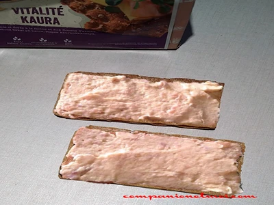 Rillettes de saumon faibles en calories