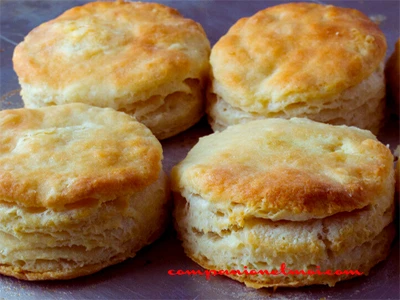Scones au parmesan