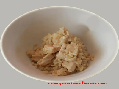 Poulet au riz et à l'ail