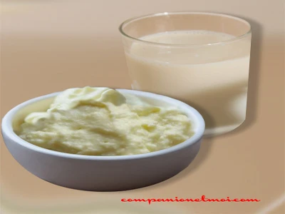 Mayonnaise vegan