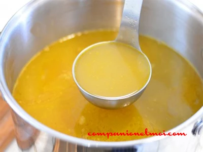 Bouillon de poisson
