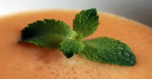 Gazpacho melon mangue