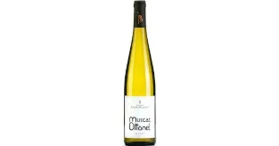 Muscat Ottonel blanc