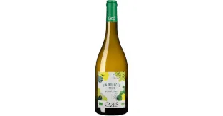 Domaine Cazes Vin Nouveau blanc