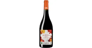 Domaine Cazes Vin Nouveau rouge